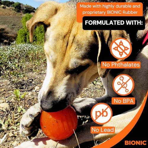 BIONIC Ball Dog Toy for Dogs Between 30-60+ lbs, Large