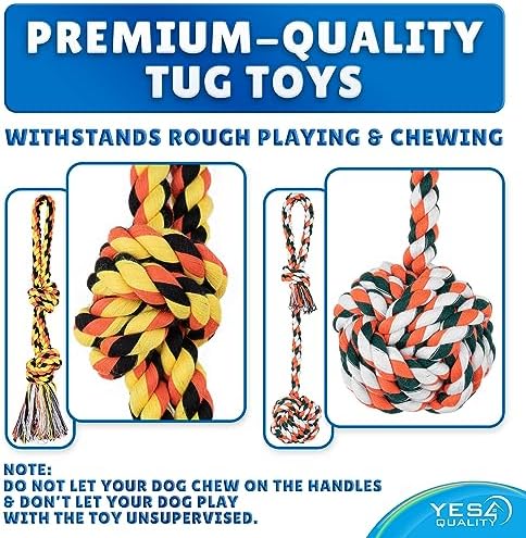 YES4QUALITY Dog Outdoor Bungee Hanging Toy, Blue Interactive Tree Tug Toy Rope w/Metal Spring Kit & 2 Rope Toys, Heavy-Duty Exercise Equipment for Medium & Large Dogs, Tether Tug of War Dog Toys