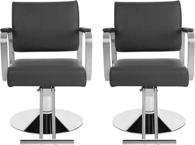 Salon Chair for Hair Stylist, Hydraulic Barber Chair with 360° Swivel, Height Adjustable Styling Chair for Barbershop, Beauty Salon, Tattoo & Spa Equipment, Black and Silver, 2Pcs
