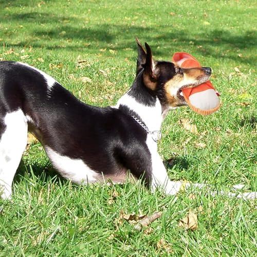 Dog Chew Toys,Creative Shoes Shape Squeaky Toy, Durable and Safe Dog Playing Toy Funny Shoes Sound Toy for Small and Medium Pets