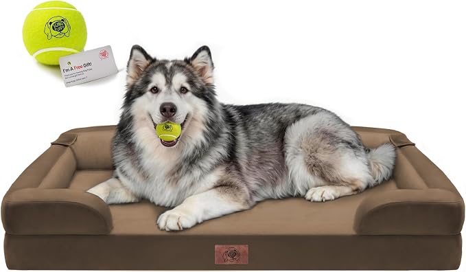 Waterproof Orthopedic Dog Bed for Extra Large Sized Dogs | Memory Foam Pet Bed Sofa with Bolster, Dog Couch with Washable Cover & Non-Slip Bottom, 48x30 Inch, Dark brown