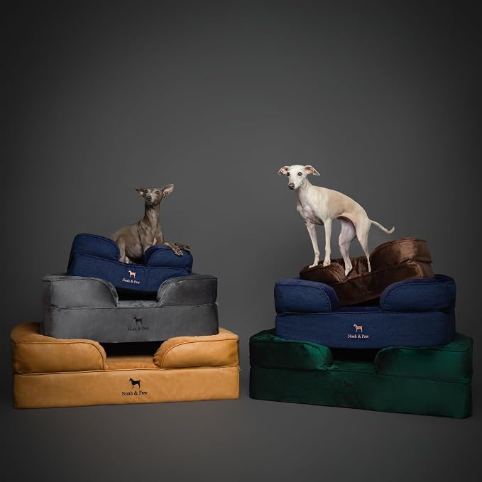NOAH & PAW XL Dog Bed, 45x35x11 Inch, Orthopedic Large Dog Beds, Eggshell Memory Foam Infused with Cooling Gel, Inner Cover, Water Resistant, Machine Washable (Velvet Sofa Collection)