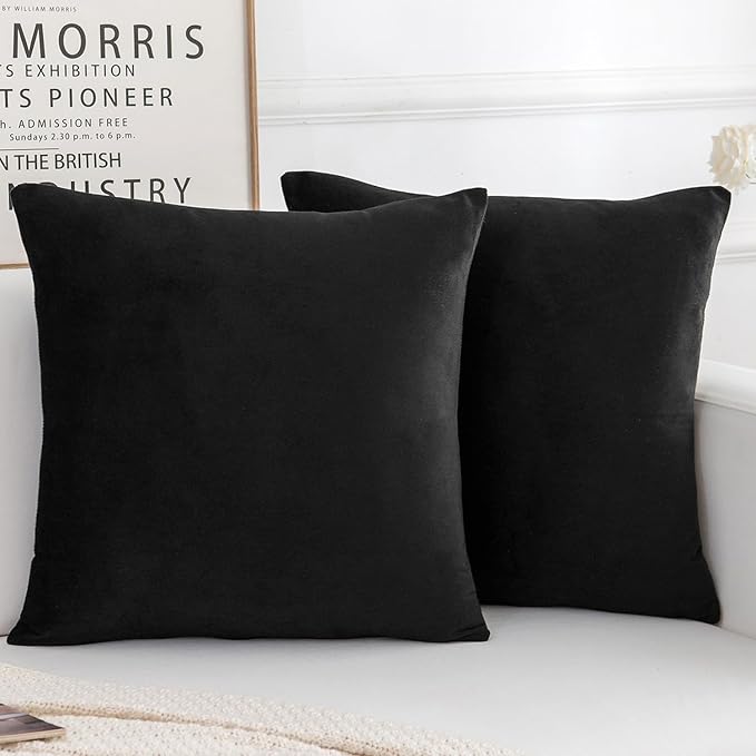 Velvet Decorative Throw Pillow Covers, Soft Square Cushion Case Home Decor for Living Room Couch Bed Sofa, Set of 2 Pack, Black, 18x18 Inch