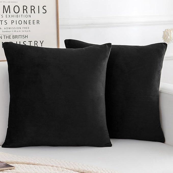 Velvet Decorative Throw Pillow Covers, Soft Square Cushion Case Home Decor for Living Room Couch Bed Sofa, Set of 2 Pack, Black, 16x16 Inch