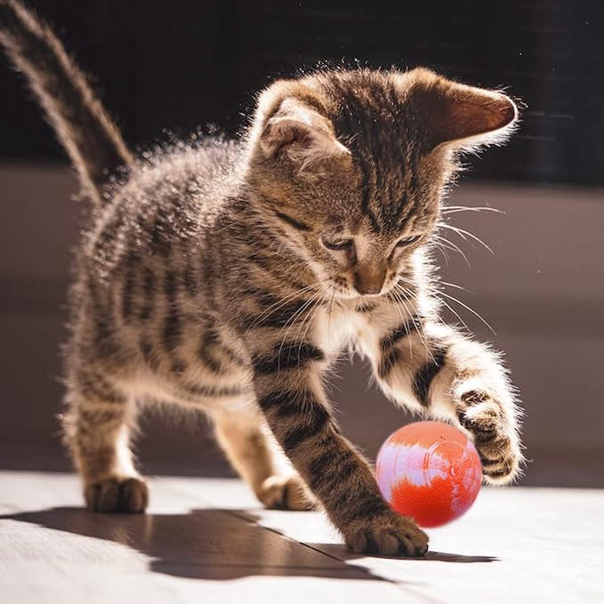 PET SHOW 20 Pack Cat Toys Bouncy Balls 1.2inch for Indoor Cats Kitten