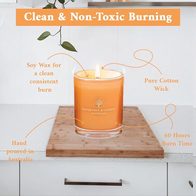 Luxury Peach Bellini Soy Wax Candle - Hand Poured in Australia, 11.66 oz Glass Jar Fancy Candle, Strong Scented, Non-Toxic, Long Lasting 60 Hour Burn, Refreshing Natural Citrus Candle Gift