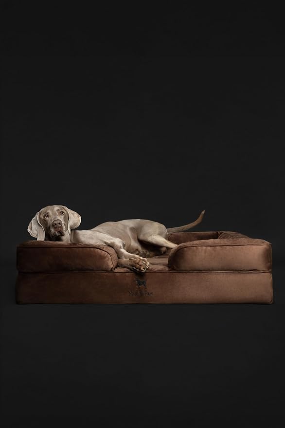 NOAH & PAW XL Dog Bed, 45x35x11 Inch, Orthopedic Large Dog Beds, Eggshell Memory Foam Infused with Cooling Gel, Inner Cover, Water Resistant, Machine Washable (Velvet Sofa Collection)