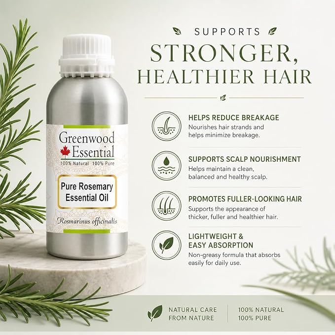 Greenwood Essential Pure Rosemary Essential Oil (Rosmarinus officinalis) Steam Distilled 300ml (10 oz)