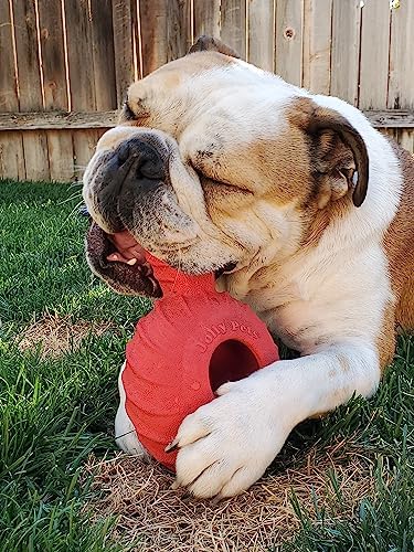 Jolly Pets Tuff Treader Dog Toy with Handle, 6 Inches, Red, Model:JTR23, All Breed Sizes