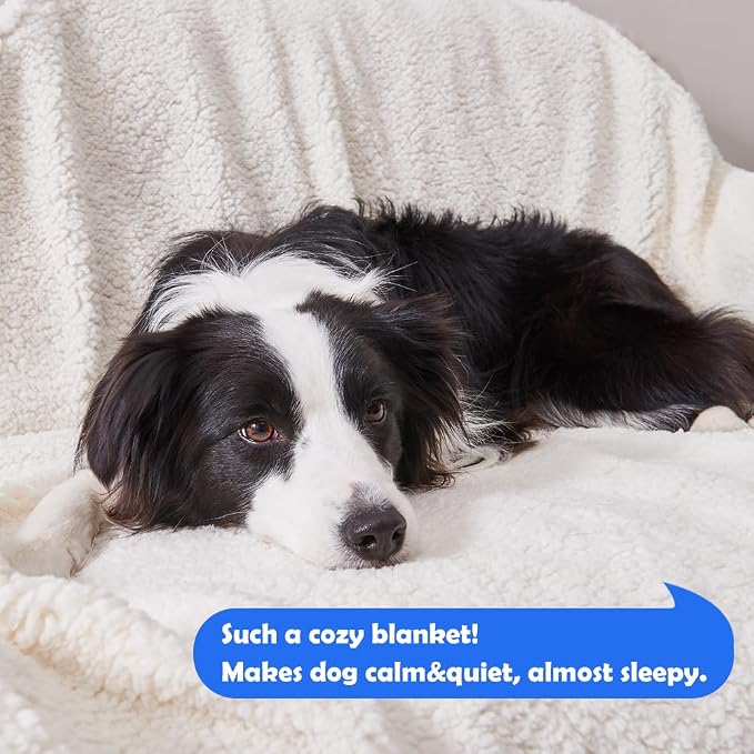 Waterproof Blanket for Bed, Dog Blankets for Large Dogs, Waterproof Cat Blanket Washable, Soft Sherpa Fleece Puppy Blanket, Reversible Throw Protector for Couch Car, 50"X60", Taupe