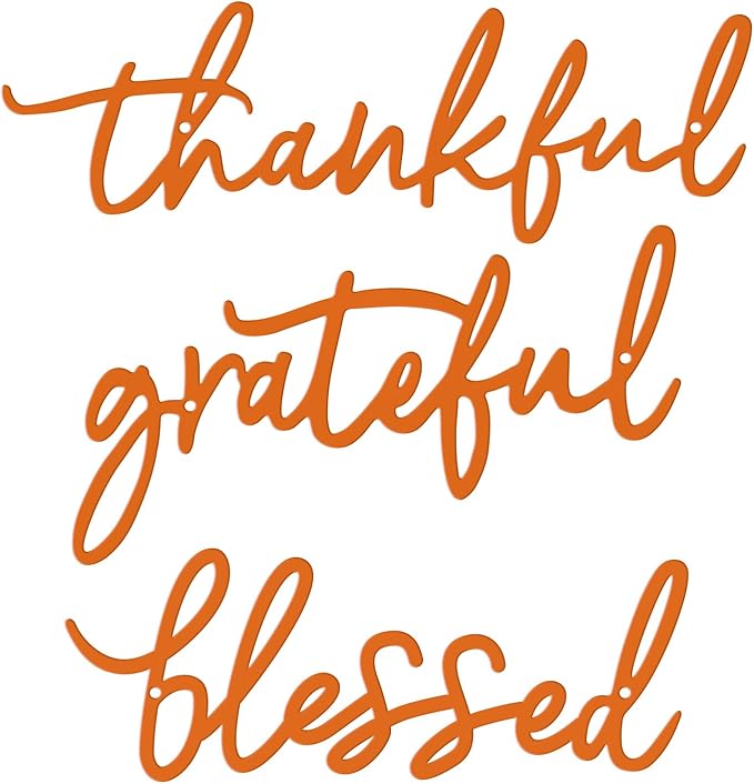 Thankful Grateful Blessed Letter Sign Metal Wall Decor, 3 Piece Black Letters Wall Art for Bathroom Bedroom Metal Words Wall Decor for Home Decor (Orange)