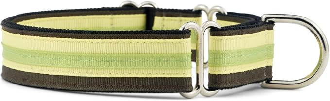 If It Barks 1" Martingale Collar for Dogs, Adjustable Nylon, USA Made, Large, Key Lime Pie
