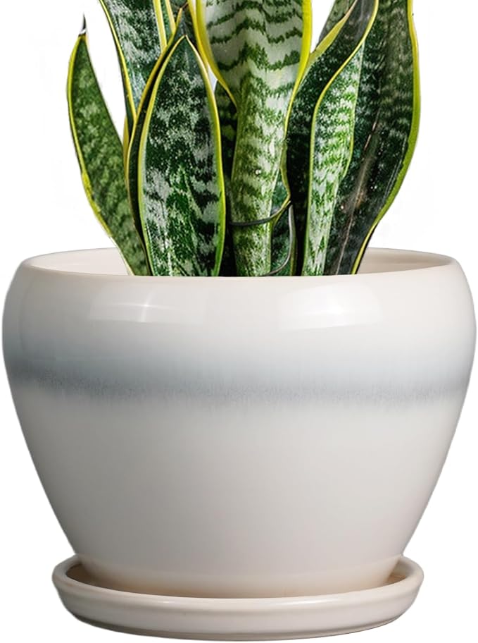 Ceramicfor Ceramic Planter - 8 Inch Plant Pot with Drainage Hole and Saucer, Glaze Round Flower Pot for Home Garden Patio Office, White