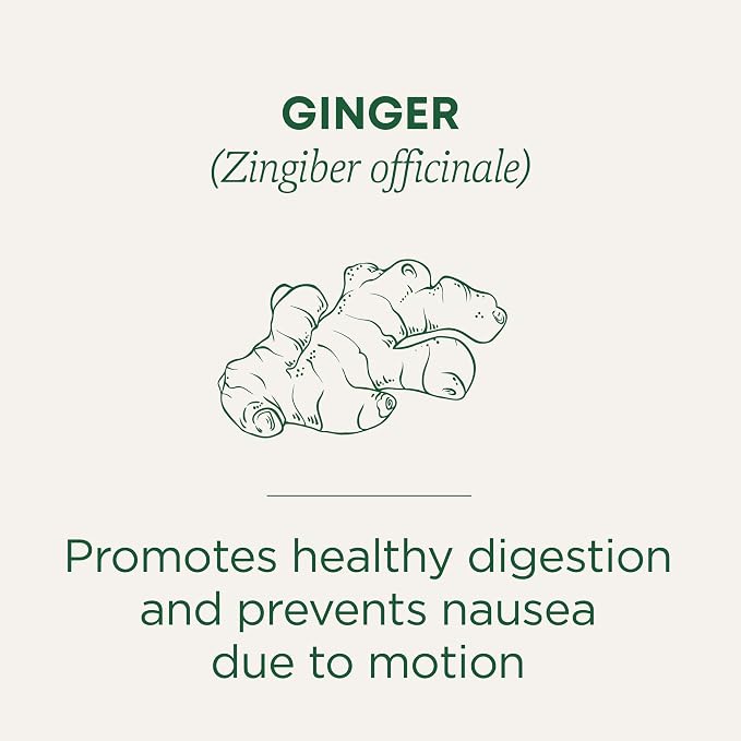 Traditional Medicinals Tea, Organic Ginger, Healthy Digestion, Pleasantly Spicy & Warming, 16 Tea Bags