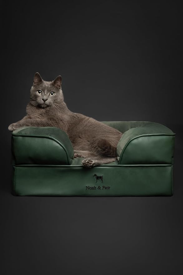 NOAH & PAW Small Dog Bed, 20x15x8 Inch, Cat Bed for Indoor Cats, Orthopedic Eggshell Memory Foam Infused with Cooling Gel, Water Resistant Inner Cover Machine Washable (Faux Leather)