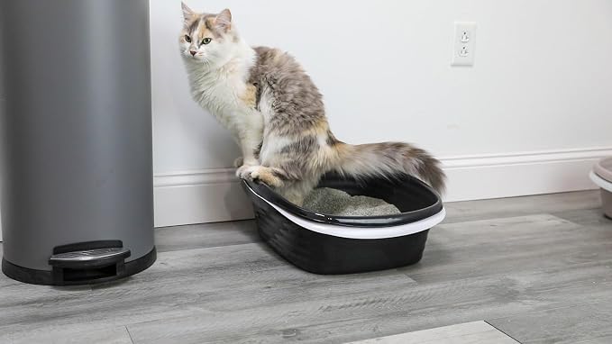 Arm & Hammer Large Sifting Litter Box Scoop Free Cat Litter Tray with Microban, Made in USA | Antimicrobial product protection, ideal for indoor felines, simple lift, shake and pour cleanup, helps keep odors in check