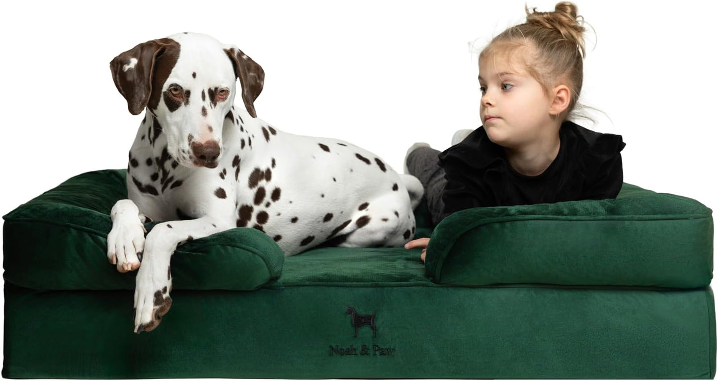 NOAH & PAW XL Dog Bed, 45x35x11 Inch, Orthopedic Large Dog Beds, Eggshell Memory Foam Infused with Cooling Gel, Inner Cover, Water Resistant, Machine Washable (Velvet Sofa Collection)