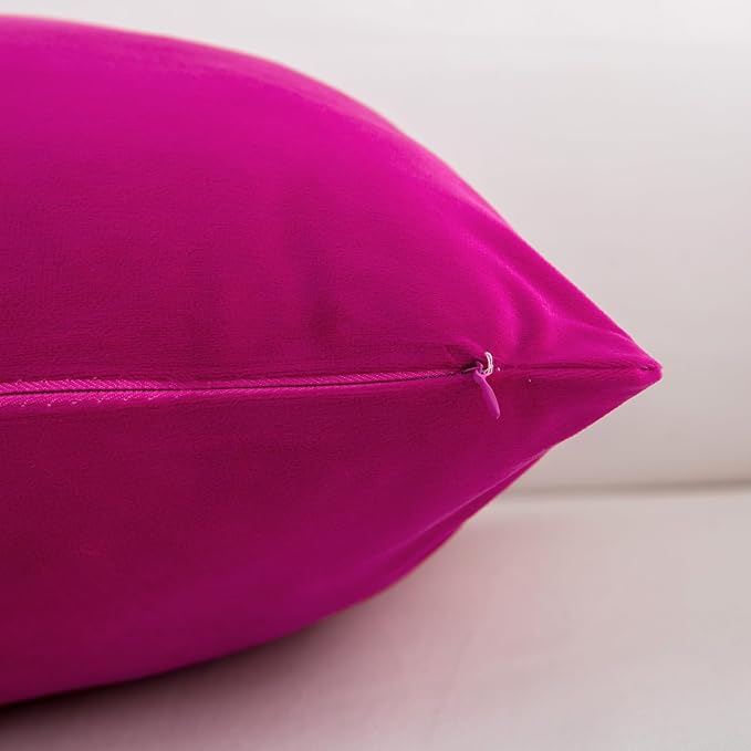 Velvet Decorative Throw Pillow Covers, Soft Square Cushion Case Home Decor for Living Room Couch Bed Sofa, Set of 2 Pack, Hot Pink, 20x20 Inch
