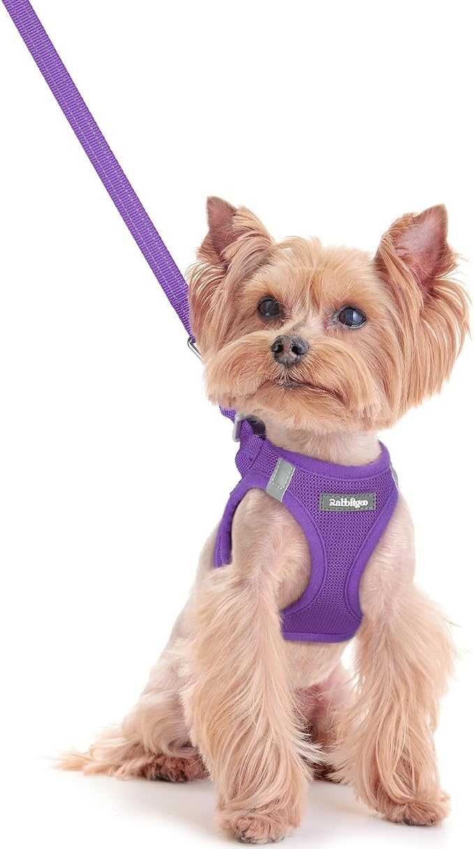 rabbitgoo Dog Harness Small Sized and Leash Set, Step-in Puppy Pet Vest | Light, Soft, Breathable Air Mesh, Easy on and Remove with Hook & Loop, Secure Reflective for Walking, Purple XXS