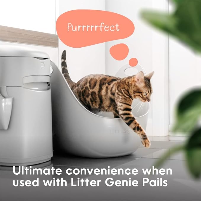 Litter Genie Cat Litter Box in Flexible Plastic with Handles, High Walls