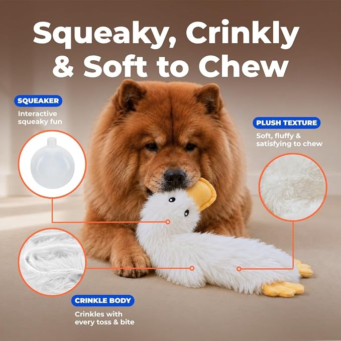 Best Pet Supplies Interactive Squeaky Dog Toy - Crinkle Duck, White | Stuffing Free Body, Soft, Squeaks & Crinkles, No Mess, Perfect for Moderate Chewers, Toss and Fetch Play