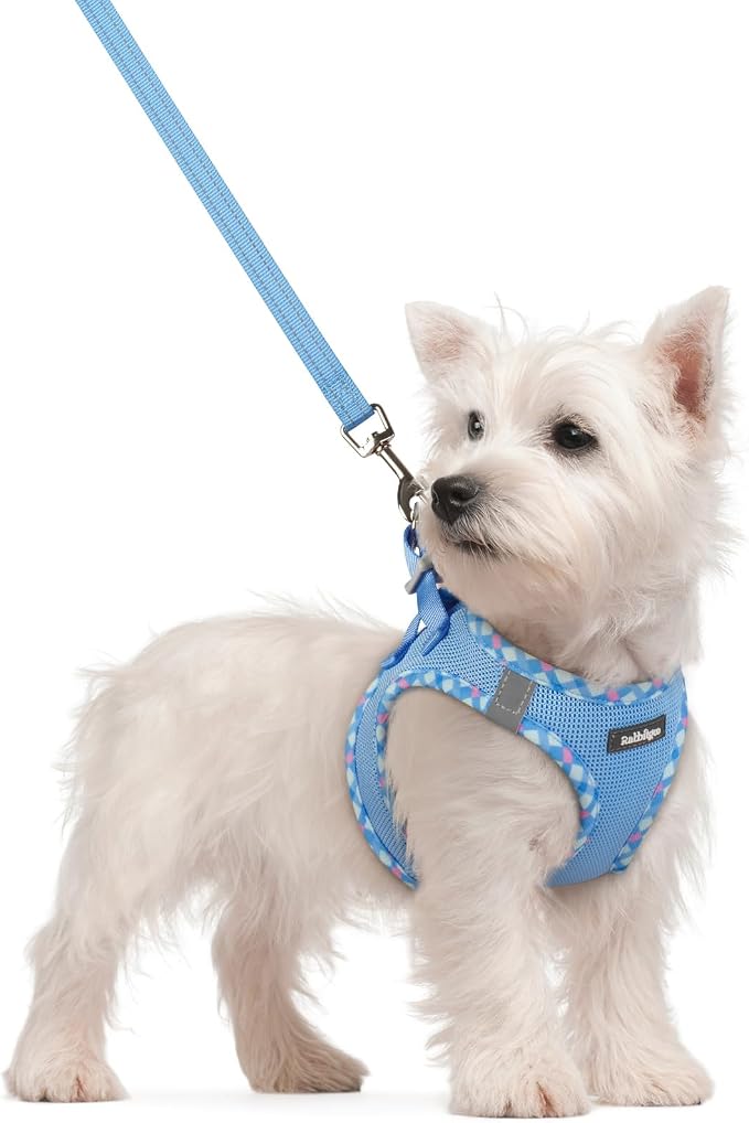 rabbitgoo Dog Harness Small Sized and Leash Set, Step-in Puppy Pet Vest | Light, Soft, Breathable Air Mesh, Easy on and Remove with Hook & Loop, Secure Reflective for Walking, Blue & Plaid Trim S