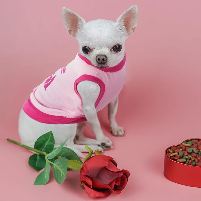 Reginary 8 Pieces Dog Shirts Girl Small Dog Clothes for Chihuahuas Yorkies Female Puppy Shirts Printed Pet Outfit Cute Breathable Soft Valentine's Day Doggie Cat Lovers Gift(Vivid Pattern,Size S)