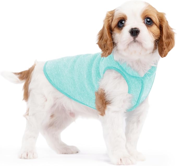 Goldpaw Dog Sun Shirt with UV Protection - Lightweight, Cooling Sun Protection Clothing for Dogs - Reduce Heat Absorption - Pet Clothes Made in the USA - Machine Washable - Size 4 - Baja Beach