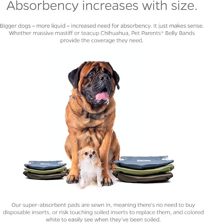 Pet Parents® Washable Belly Bands for Male Dogs (3pack) + Extendrs® of Durable Dog Diapers Male, Premium Male Dog Diapers & Dog Wraps (Large, Koda)