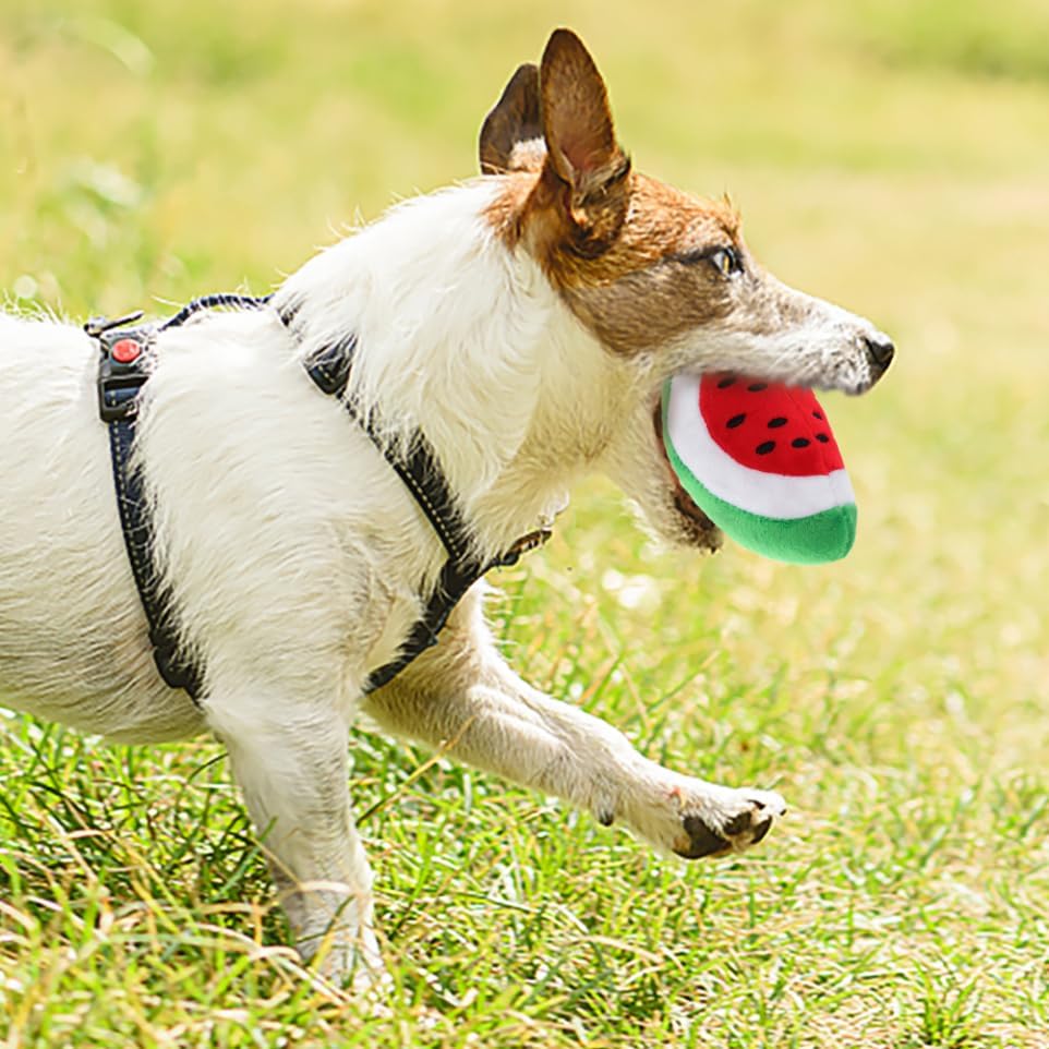 Milisten 4pcs Squeaky Dog Chew Toy Interactive Watermelon Molar Toy for Dogs Encourages Healthy Chewing and Keeps Pets Engaged for Teething Puppies and Playtime
