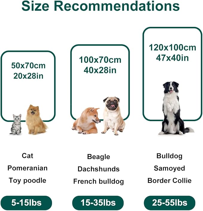 Onarway Dog Blanket Washable for Puppy: 4 Packs Dog Blankets 40”x28” | Fluffy Soft Small Throw for Cat Puppy Kitten Dogs - Fleece Pet Blankets for Bed Sofa Car and Indoor - Light Grey