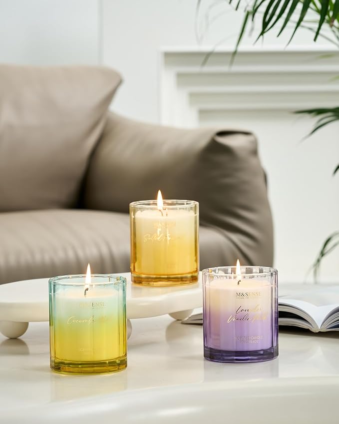 M&SENSE Salted Caramel Scented Candles for Home, 10.6oz Organic Soy Wax | Clean Non-Toxic, 60 Hours Long Lasting Slow Burn, Sweet Cozy Scent for Holiday Thanksgiving & Mom Teachers Friends
