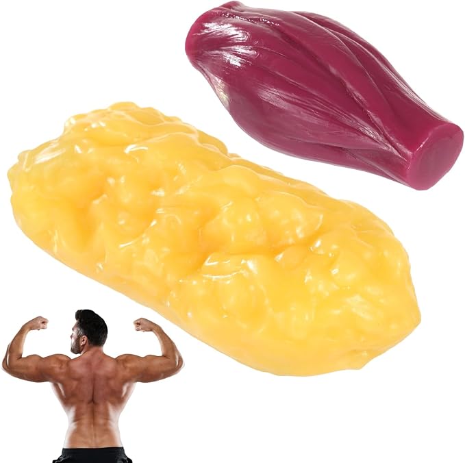 2 Pcs Human Muscle and Fat Models, 1 lb Fat Replica and 1 lb Muscle Replica, Realistic Anatomy Models for Education, Fitness Motivation, Nutrition Analysis