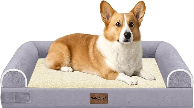 Orthopedic Dog Bed for Medium Dogs, 30 x 20 Inch, Purple | Egg crate foam for joint support, 3-sided bolster pet sofa, waterproof lining, washable cover, and non-skid base