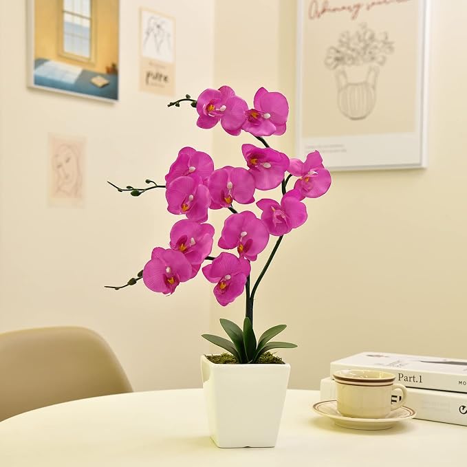 15" Silk Phalaenopsis Orchid in Square Pot, Fuchsia Flower Arrangements | Lifelike Faux Potted Blooms with Moss in a Ceramic Planter. Looks Real, Zero Upkeep, Ideal Centerpiece for Any Table