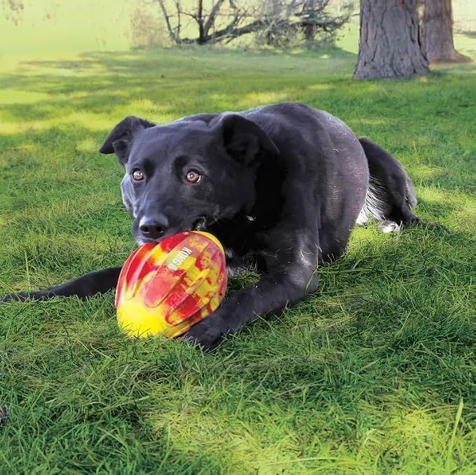 KONG Sport FlexBall – Durable, Bouncy Fetch Toy with Squeaker & Easy-Grip Ridges for Dogs (Medium (Football))