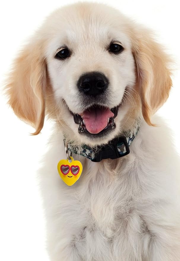 Dynotag® Web Enabled Super Pet ID Smart Tag with DynoIQ™ & Lifetime Recovery Service. Play Series: Deluxe Coated Steel - Heart (Heart Shades)
