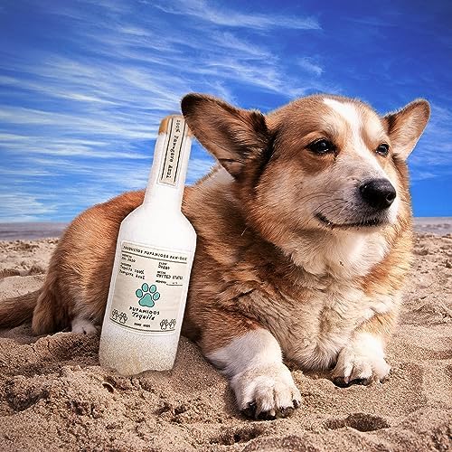 Bark Bros - Liquor Bottle Dog Toy - Plush Squeaky Dog Toys Funny Drink Parody - Alcohol Dog Toy - Dog Birthday Toy - Cute Dog Toys - Puppy Gifts - Puppy Stuff - Dog Stuff (Large, Pupamigos)