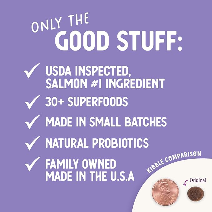 Health Extension Grain Free Salmon & Sweet Potato Dry Dog Food - 30+ Superfoods and Probiotics for All Life Stages (10 lb)