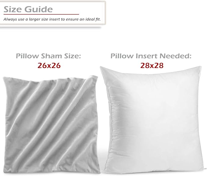 Throw Pillow Inserts Pack of 2 with Velvet Soft Solid Decorative Square Throw Pillow Covers Set for Sofa Couch Car Bedroom, 28X28 Throw Pillows Inserts with 26x26 Washable Cushion Covers, Light Gray