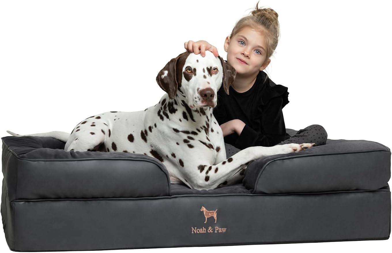 NOAH & PAW XL Dog Bed, 45x35x11 Inch, Orthopedic Large Dog Beds, Eggshell Memory Foam Infused with Cooling Gel, Inner Cover, Water Resistant, Machine Washable (Faux Leather)