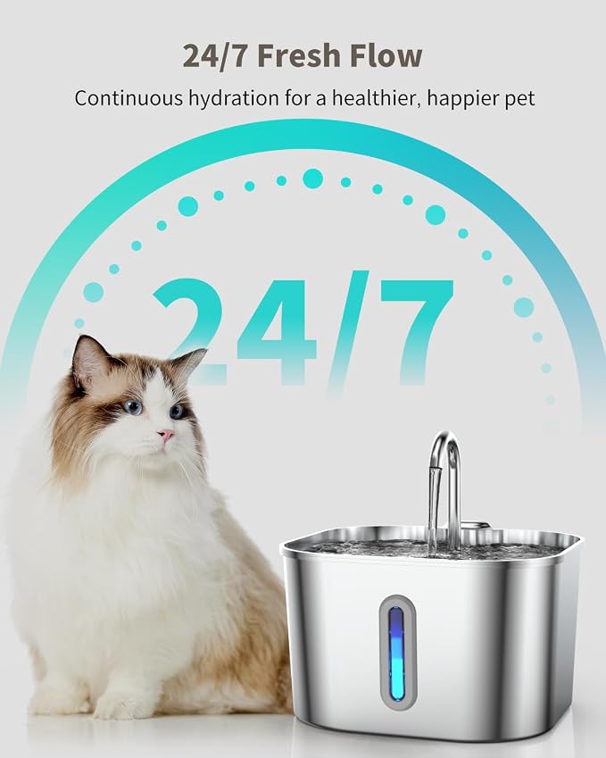 Stainless Steel Cat Water Fountain - 74oz/2.2L Cat Drinking Fountain | Quiet Cat Fountain for Indoor Cats and Small Dogs, Automatic Pet Water Dispenser Keeps Fresh Water
