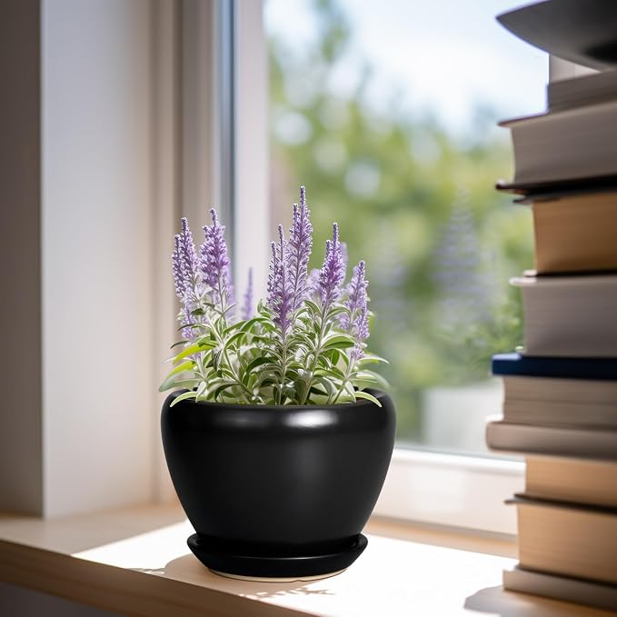 Ceramicfor Ceramic Planter Pot - 6 Inch Plant Pot with Drainage Hole and Saucer Round Planter for Indoor Plants Outdoor Succulent Pot Modern Flower Pot for Home Decor Black