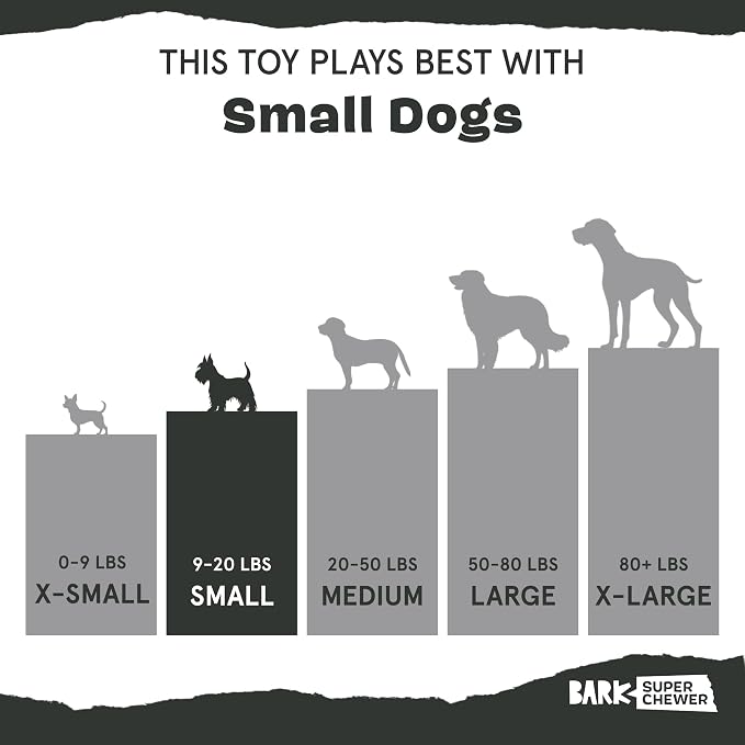 BarkBox Bear Hugger Dog Toy - 2-in-1 - Toy for Small Dogs