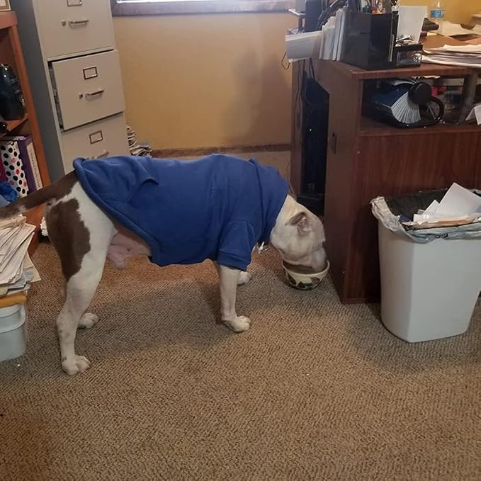 BINGPET Security Dog Hoodie, Pet Sweater Clothes with Leash Hole, Blue | Warm Dog Sweatshirt for Small Medium Large Dogs, All-Season Cold Weather Comfort & Fit, Soft Winter Hooded Pullover Outfit