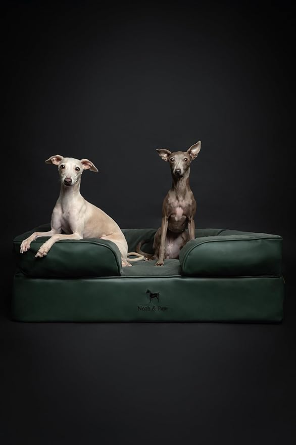 NOAH & PAW Large Dog Bed, 35x25x11 Inch, Orthopedic Dog Beds, Eggshell Memory Foam Infused with Cooling Gel, Inner Cover, Water Resistant, Machine Washable (Faux Leather)