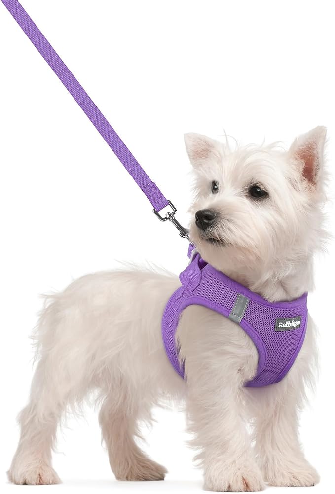 rabbitgoo Dog Harness Small Sized and Leash Set, Step-in Puppy Pet Vest | Light, Soft, Breathable Air Mesh, Easy on and Remove with Hook & Loop, Secure Reflective for Walking, Purple S