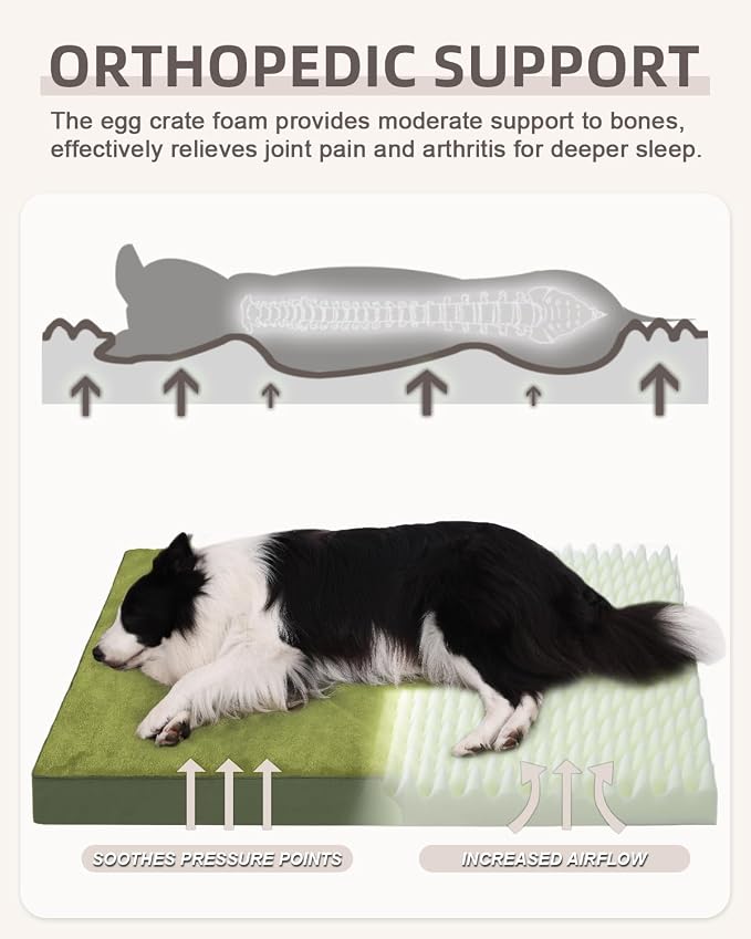 KSIIA Orthopedic Dog Bed for Extra Large Dogs with Waterproof, Green, 47x29 | Deluxe Soft Plush Dog Crate Bed, Washable Pet Mat with Removable Cover & Egg Crate Foam for Extra Large Dogs Sleeping