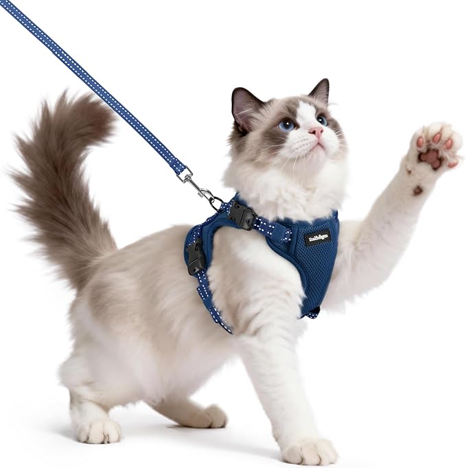 rabbitgoo Cat Harness and Leash Set, Easy-on with Neck Buckle, Navy Blue
