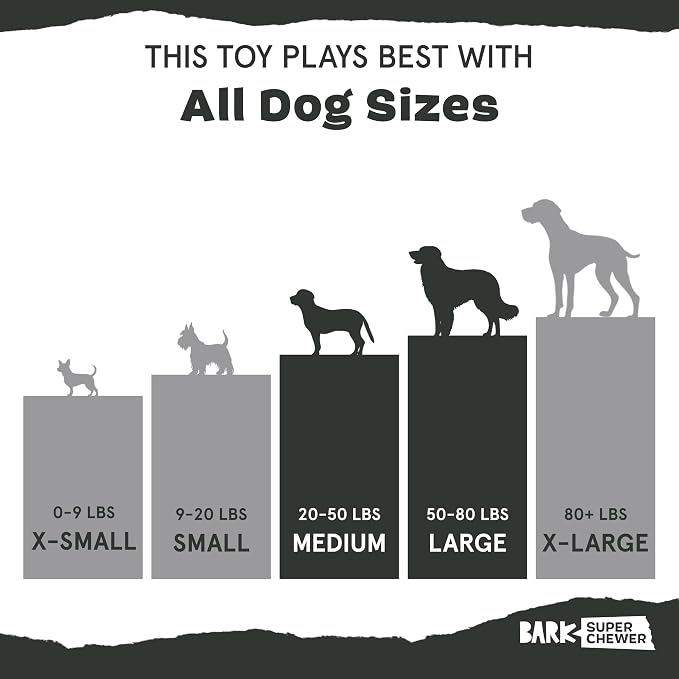 BarkBox Radius Super Chewer - Toy for Large Dogs | Durable Dog Toy for Aggressive Chewers - Vanilla Scented Chew